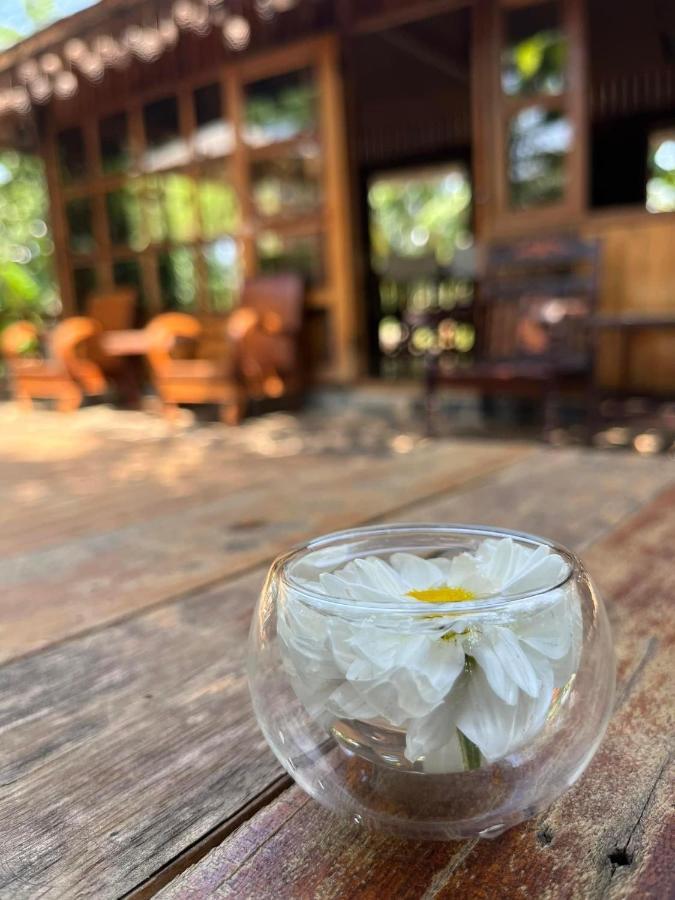 Moc An Nhien Farmstay Pleiku Eksteriør billede